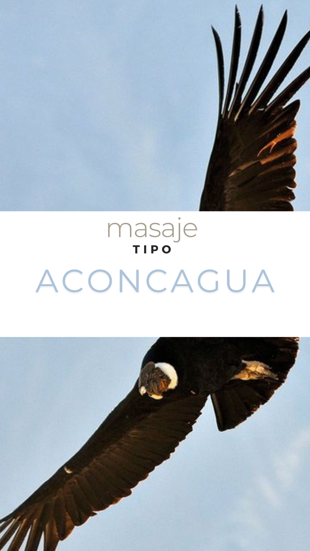 Masaje Aconcagua
