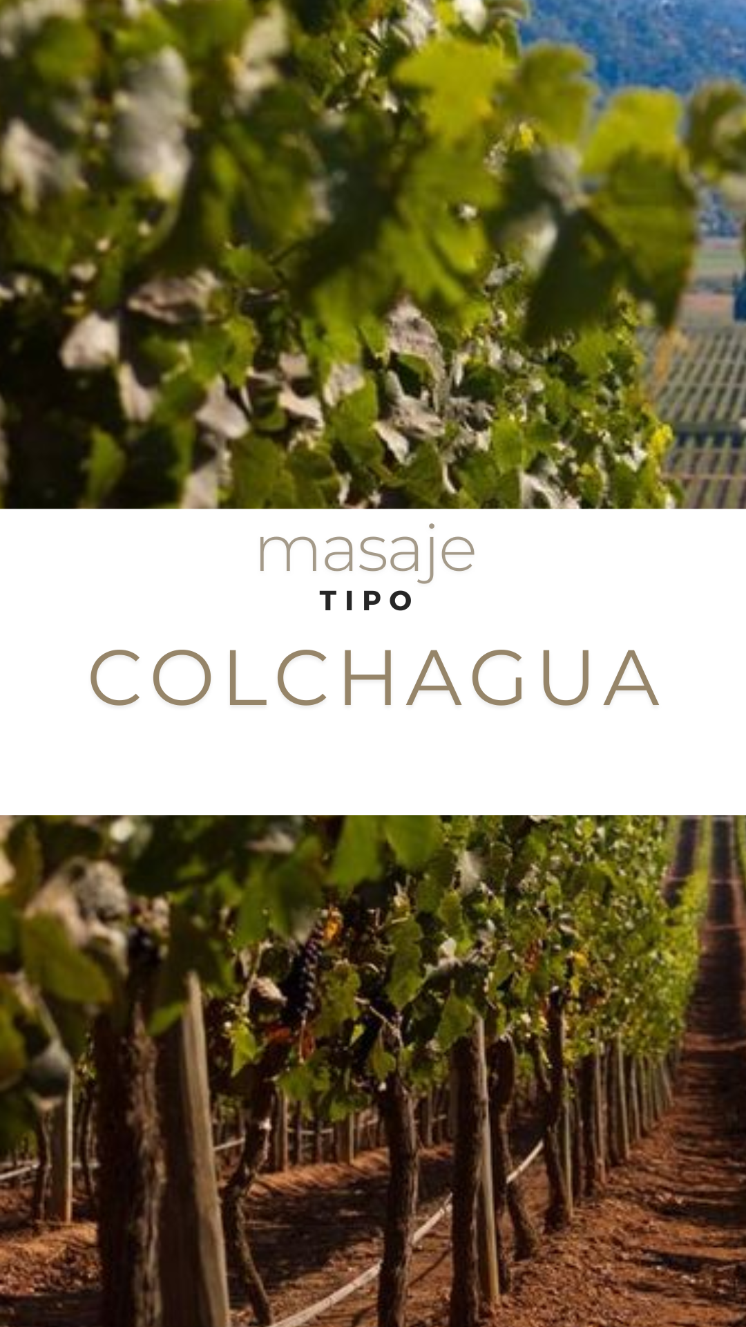 Masaje Valle de Colchagua